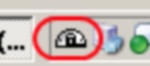 The icon when WampServer is running